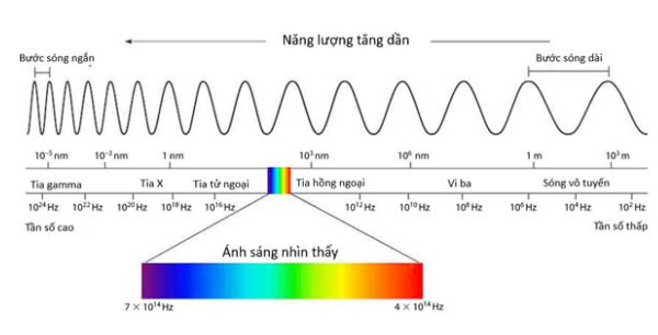 Các khái niệm về tần số (Hz) phổ biến hiện nay